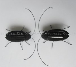 solar cockroach