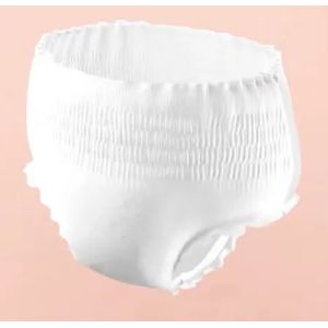 3 Years Shelf Life Mid-Waist Period Panties for Maternity Sanitary Feminine Pad