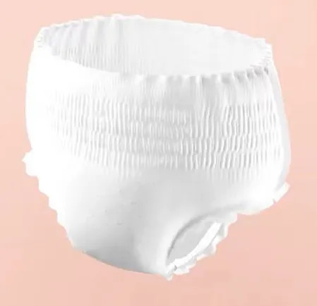 3 Years Shelf Life Mid-Waist Period Panties for Maternity Sanitary Feminine Pad