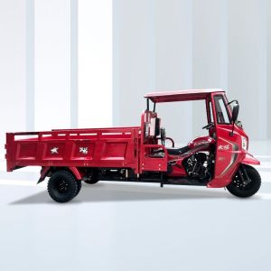 800W 3 Wheels Motorcycle Tricycle with Customized Body Clearance and Hydraulic