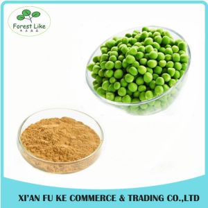 Hot Selling Nutritional Superstar Product Garden Pea Extract