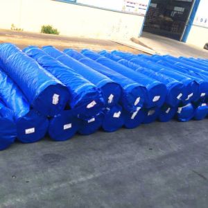 LDPE Coating 2m-50m Width Eyelets Waterproof HDPE PE Tarpaulin Sheet for