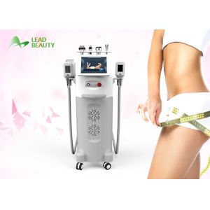 China Professional vertical liposuction Cryolipolysis Cryotherapy Slimming Machine on sale