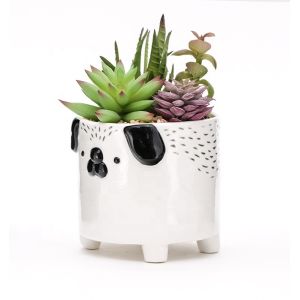 Animal Flower Pots Succulent Plant Pot Customized Plant Propagation Planter