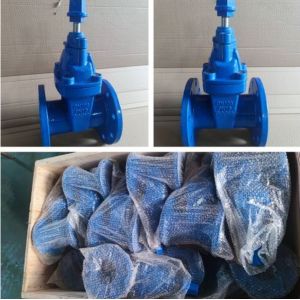 18 Inch Pneumatic Gate Valve with Customized Port Size and Corrosion Resistance