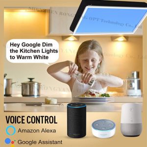 AC 100 240V LED Ceiling Panel Light Controlled by App Remote Designed for