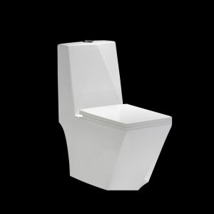 Diamond Shape Conjoined Toilet Wc White Ceramic 680x375x830mm