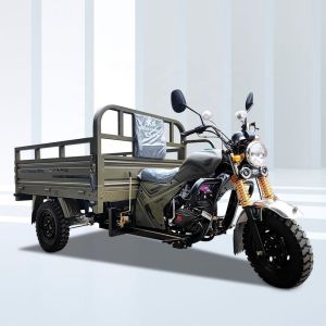 China Paraguay Market Gasoline Fuel Tricycles Motorcycle Cargo Tricycle with Open Body Type on sale