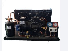 BFS51 Reliable Cold Room Semi-hermetic Compressor Condensing Unit Cold Storage
