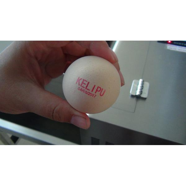 Smart Egg Printing Machine With Touch Screen , Thermal Inkjet Printer For Eggs