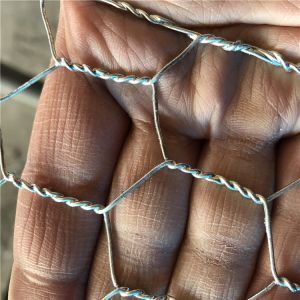 Hexagonal Wire Mesh Chicken Wire