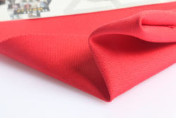 China factory 380T 100% Nylon 20D recycled fabric