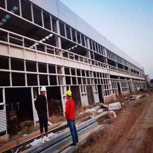 Quality Steel Frame Building Construction 36-66 sqm Eco-Friendly Thermal Insulation for sale