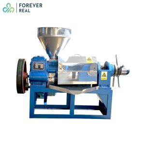 Quality Mustard Coconut Oil Making Machine Professional Small Scale Automatic for sale