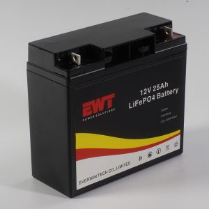 Lifepo4 Battery Pack 12V 25Ah Lithium Iron Phosphate Battery With Smart BMS
