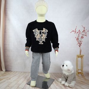 Spring Autumn Baby Embroidery Sweater Children Clothing Tops 1-7 Year Boys Girls