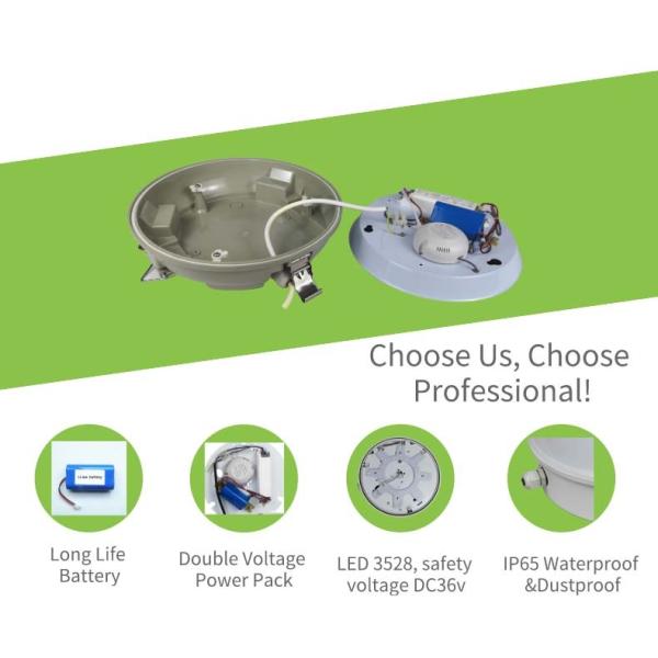 Waterproof LED IP65 Ceiling Mounted Emergency Lights