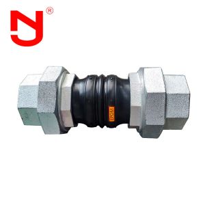 Stainless Steel Screwed Union Bspt Threaded Joint Expansion Joint Plumbing