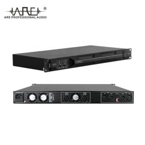 ARE AUDIO dual 10 inch passive outdoor line array speaker system with DSP