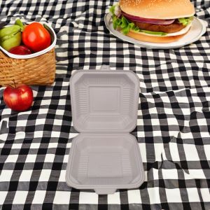Simplicity Style Biodegradable Disposable Food Container Square Plastic Lunch