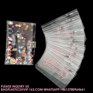 Reusable Cash Stuffing Binder Plan, Money Saving Binder Organizer Books Budget,