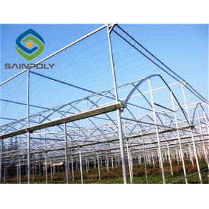 Hot Galvanized Steel 8m Polyethylene Film Greenhouse