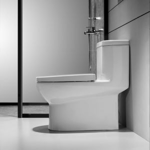 Round Bowl 1.1GPF One Piece Toilets Siphon Flush 4L