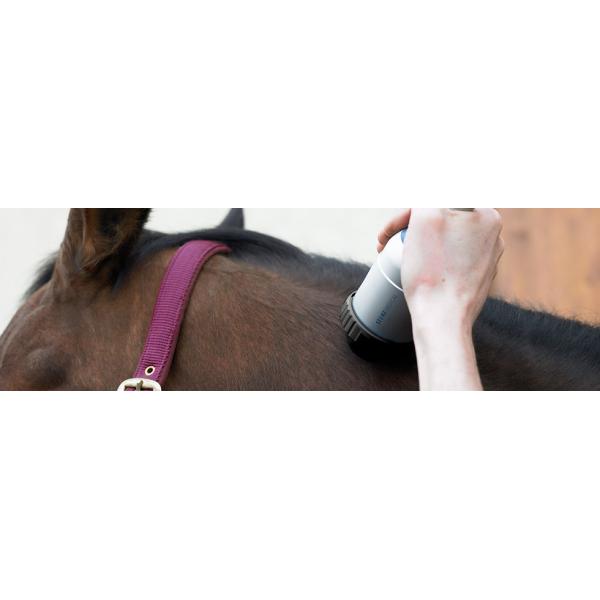 veterinary medical shock wave therapy equipment shockwave equine Equine Shock Wave Therapy machine