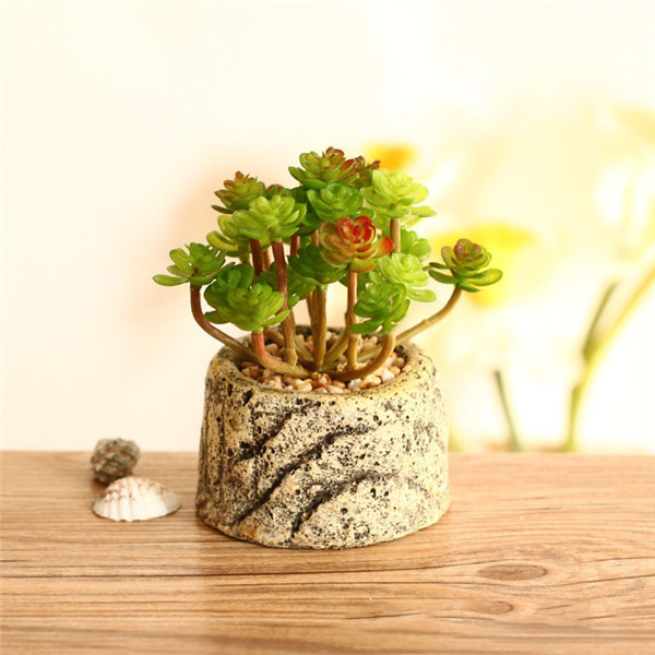 Buy Mini Succulent Artificial Potted Plants Strange Shape Green Platsic Material at wholesale prices