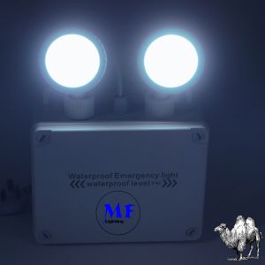 Double Head Waterproof IP65 Outdoor Indoor Long Duration Time Rechargeable Non