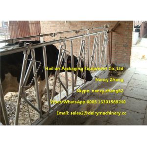 Farm Customized Cow Headlock / Cattle Feeding Panels Hot Dip Galvanizing Pipe