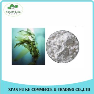 100% Natural Algae Oil DHA Extract Powder 7%/10% CWS