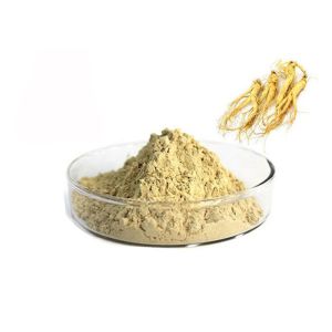 Pharmaceutical 80% Panax Root Natural Ginseng Extract Powder