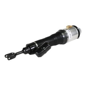Air Suspension Strut Shock Absorber For Volkswagen 3W0616040D