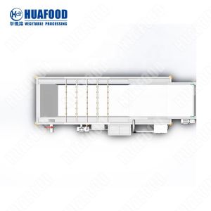 Huafood fruit and vegetable washerwashing machine blueberry washer machine