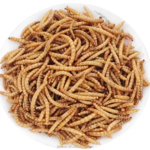 Quality High-Performance Dried Mealworms Country of Origin for sale