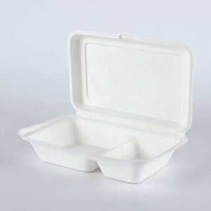 Container Eco-friendly Sugarcane Pulp Takeaway Food Packaging Box Alternative to