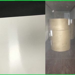 Quality FDA Smooth Surface White PE Coated Paper Roll For Making Cup Food Grade for sale