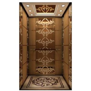 Machine Room Less Automatic Passenger Elevator With Fuji Control System