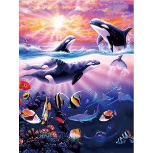 Sealifes Dolphin Turtle Shark Lenticular 3D Motion Card Souvenir Gift Card