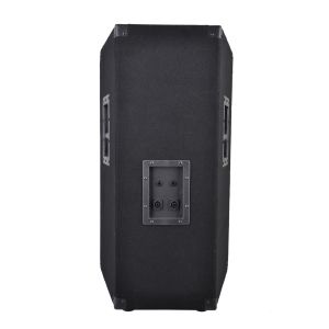15 Inch 300W Wooden Cabinet Professional Speaker Box Design WPA15