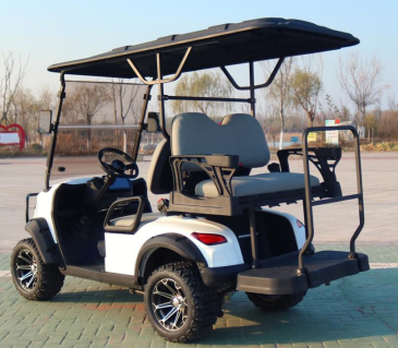 Street Legal 4 Seater Golf Cart Electric 72V Cheap Sport Off Road Hunting Golf Cart
