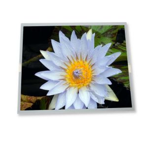 C062SWP1-1 6.2 Inch Digital Photo Frame and Portable DVD Player  Lcd Display 800*480 in Stock Lcd Screen Module