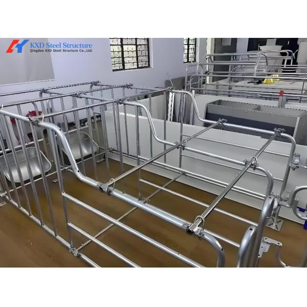 Buy Galvanized Pig Farrowing Crates Piggery Equipment Sow Farrowing Bed at wholesale prices
