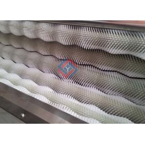 Professional Carrot Potato Washing Peeling Machine With 6pcs Brush Roller