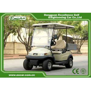 2 Passenger Electric Utility Carts / Cargo Golf Buggy Car With 350A USA Curties Controller