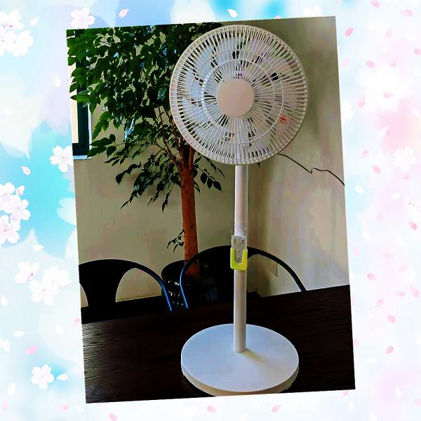 Adjustable Height Pedestal Fan The Perfect Blend of Style and Functionality