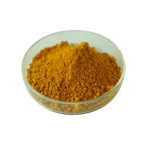 Natural Curcumin 95% Turmeric Extract Powder For Healthcare Supplement