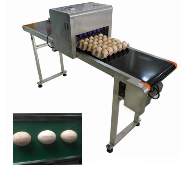 Buy 4A Free Upgrade Eggs Food Inkjet Printer With Full - Disk Printing Method at wholesale prices