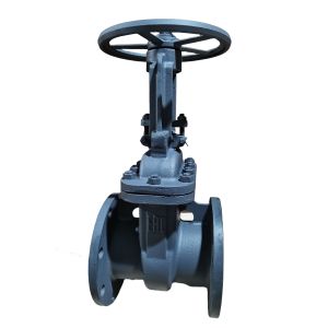 Gas media Handwheel Rising Stem Resilient Seated Hard Seal Carbon Steel GOST Gate Valves and Fitting OEM